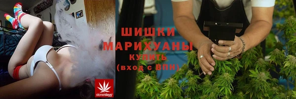 индика Беломорск