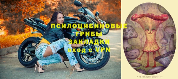 хмурый Белокуриха