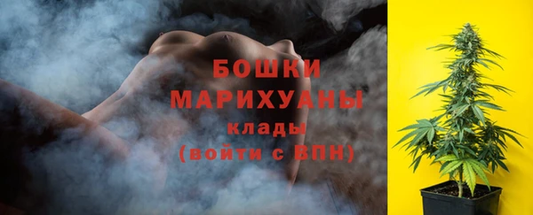 хмурый Белокуриха