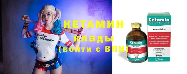 хмурый Белокуриха