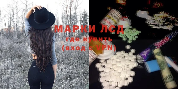 индика Беломорск