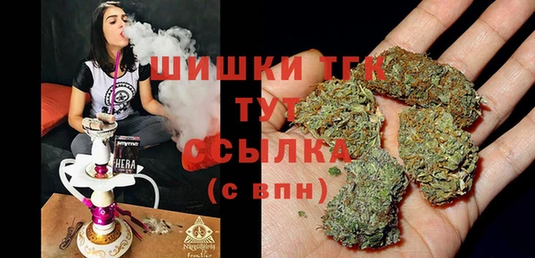 хмурый Белокуриха