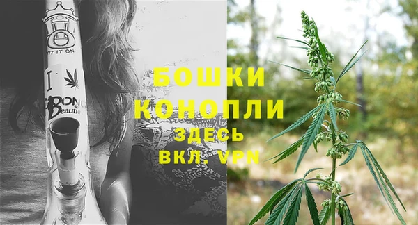 хмурый Белокуриха