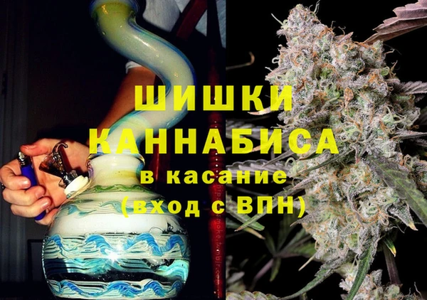 Альфа ПВП Дубна