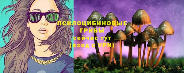 индика Беломорск