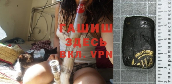 индика Беломорск