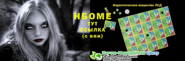 индика Беломорск