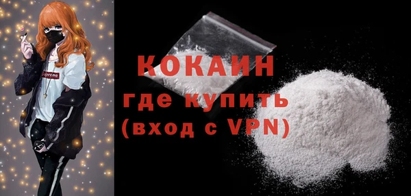 индика Беломорск