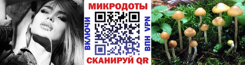 площадка состав  Ершов  Псилоцибиновые грибы прущие грибы  магазин   